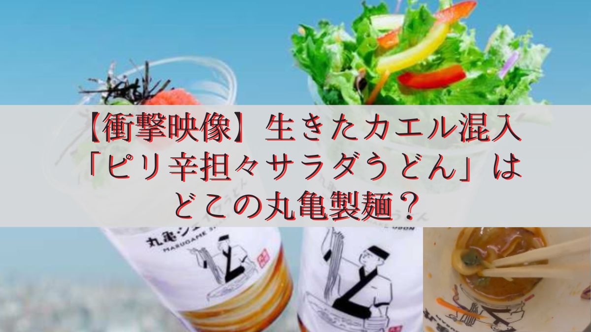 【衝撃映像】生きたカエル混入「ピリ辛担々サラダうどん」はどこの丸亀製麺？