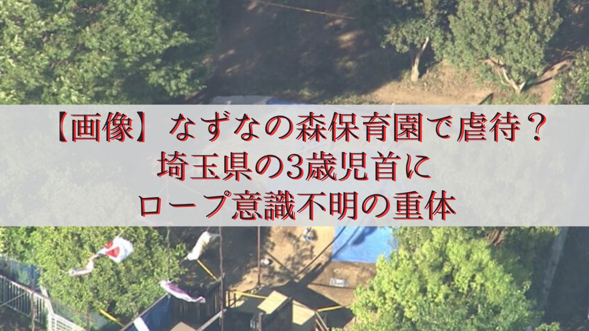 【画像】なずなの森保育園で虐待？ 埼玉県の3歳児首に ロープ意識不明の重体
