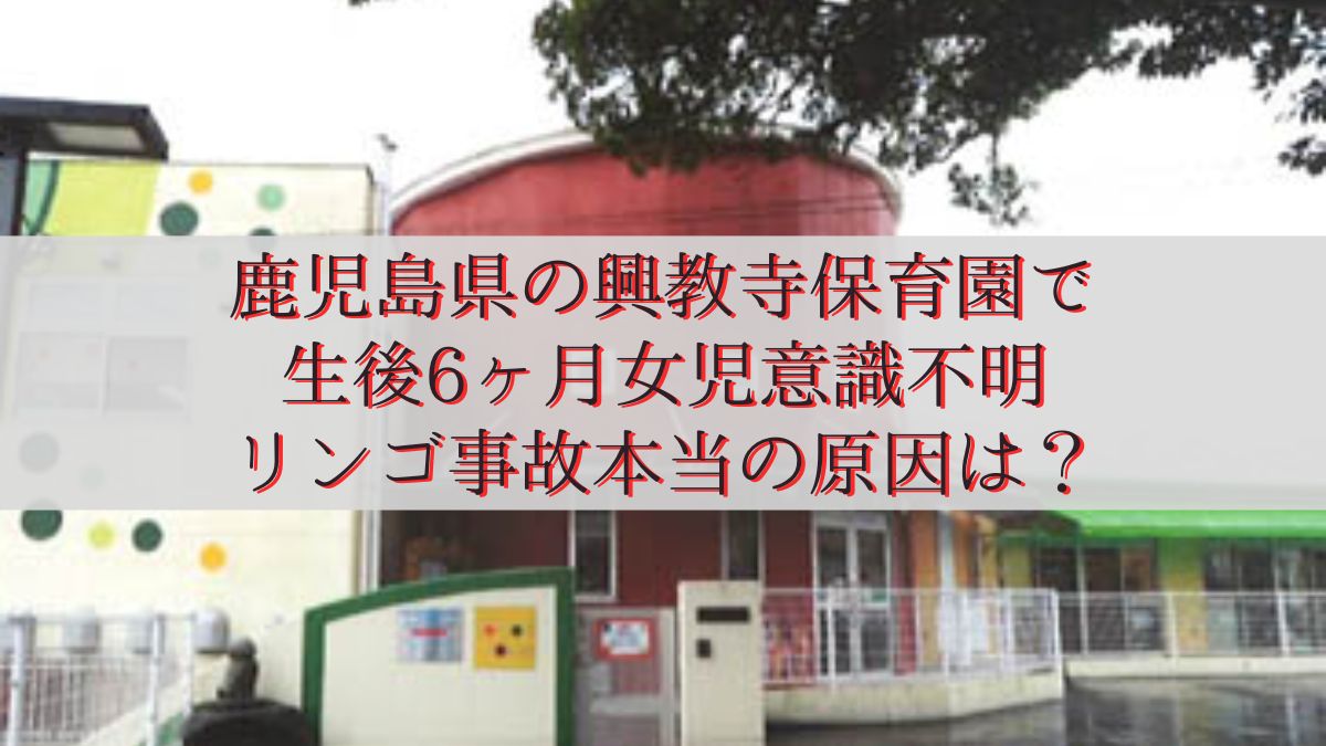 鹿児島県の興教寺保育園で生後6ヶ月女児意識不明リンゴ事故・本当の原因は？