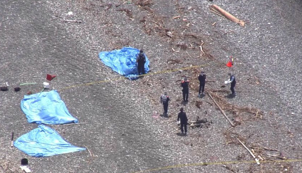 【衝撃画像】浜辺で赤ちゃんを燃やして殺害したのは母親?静岡県沼津千本浜海岸