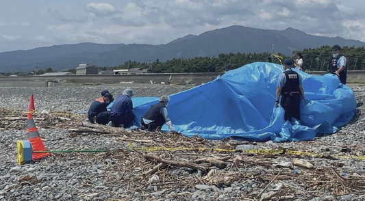 高見直輝静岡県沼津千本浜海岸で赤ちゃんの死体損壊と死体遺棄
