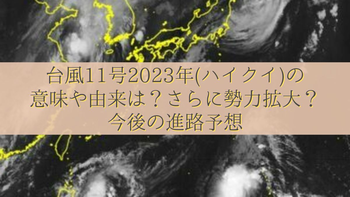 台風11号2023年(ハイクイ)の意味や由来は？さらに勢力拡大？今後の進路予想