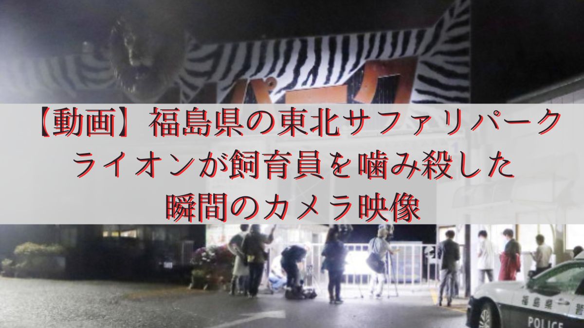 【動画】福島県の東北サファリパークでライオンが飼育員を噛み殺した瞬間のカメラ映像